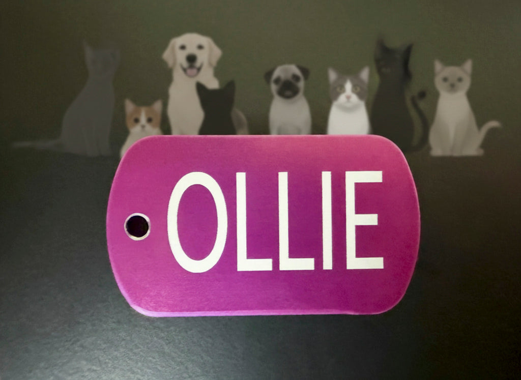 Pet Tags